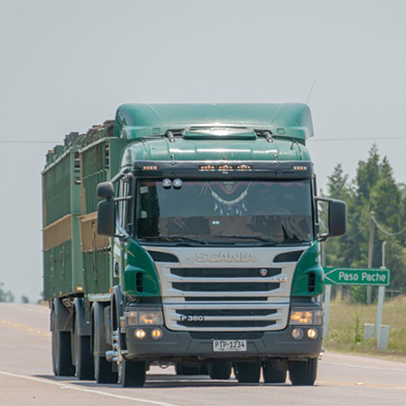 Transporte de Equipos y Materiales